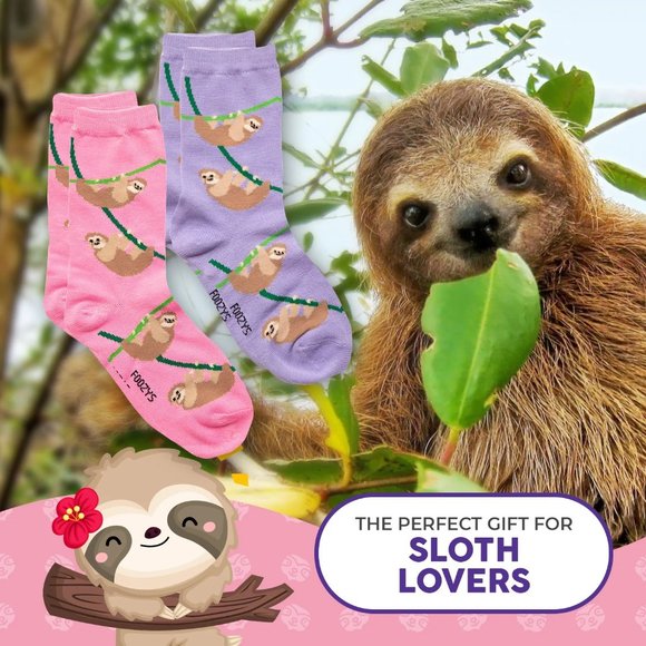 Sloth Hanging Slow Lazy Rainforest Tree Animal 2 Pairs Foozys Women's Socks - Picture 4 of 5